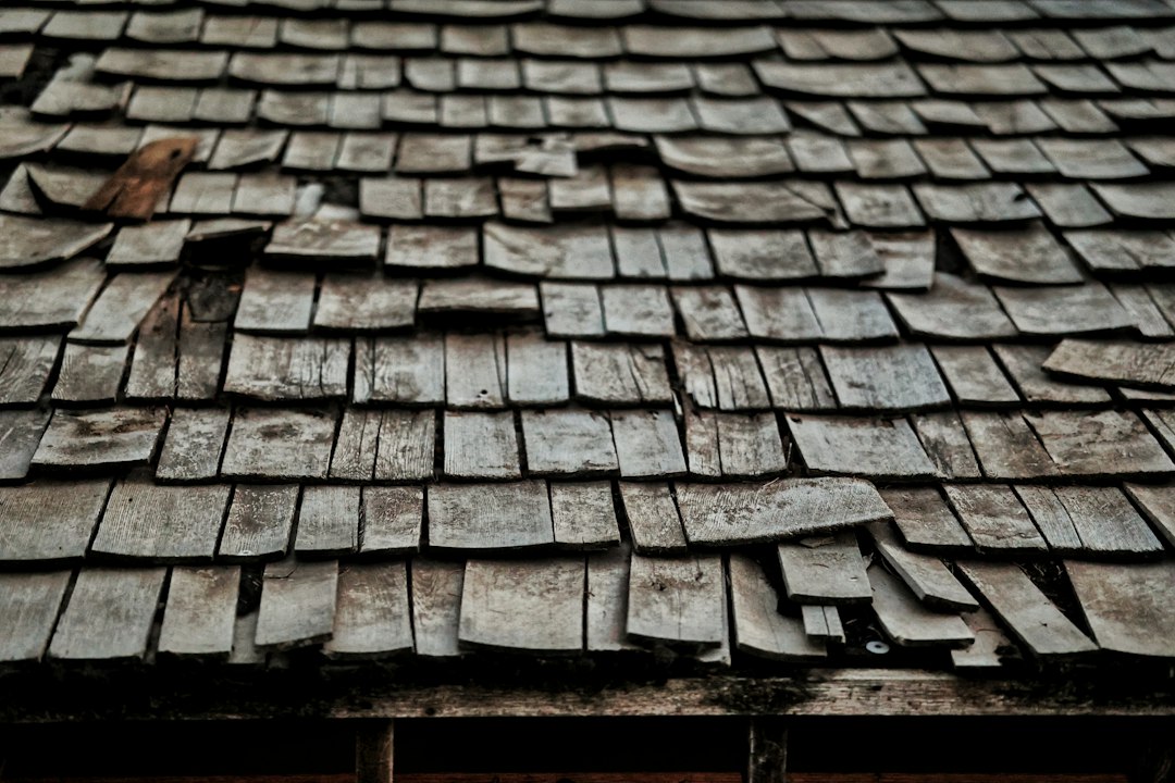Emergency Roof Repair: Angi vs HomeAdvisor for Finding Emergency Roofing Services