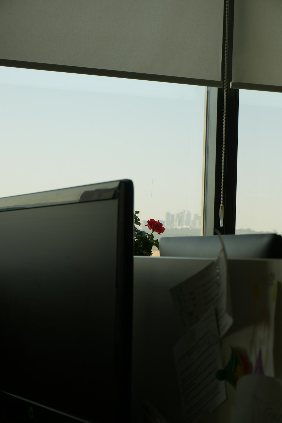 AOL Mail vs Juno Email: Which Email Service Is Better for Everyday Communication?